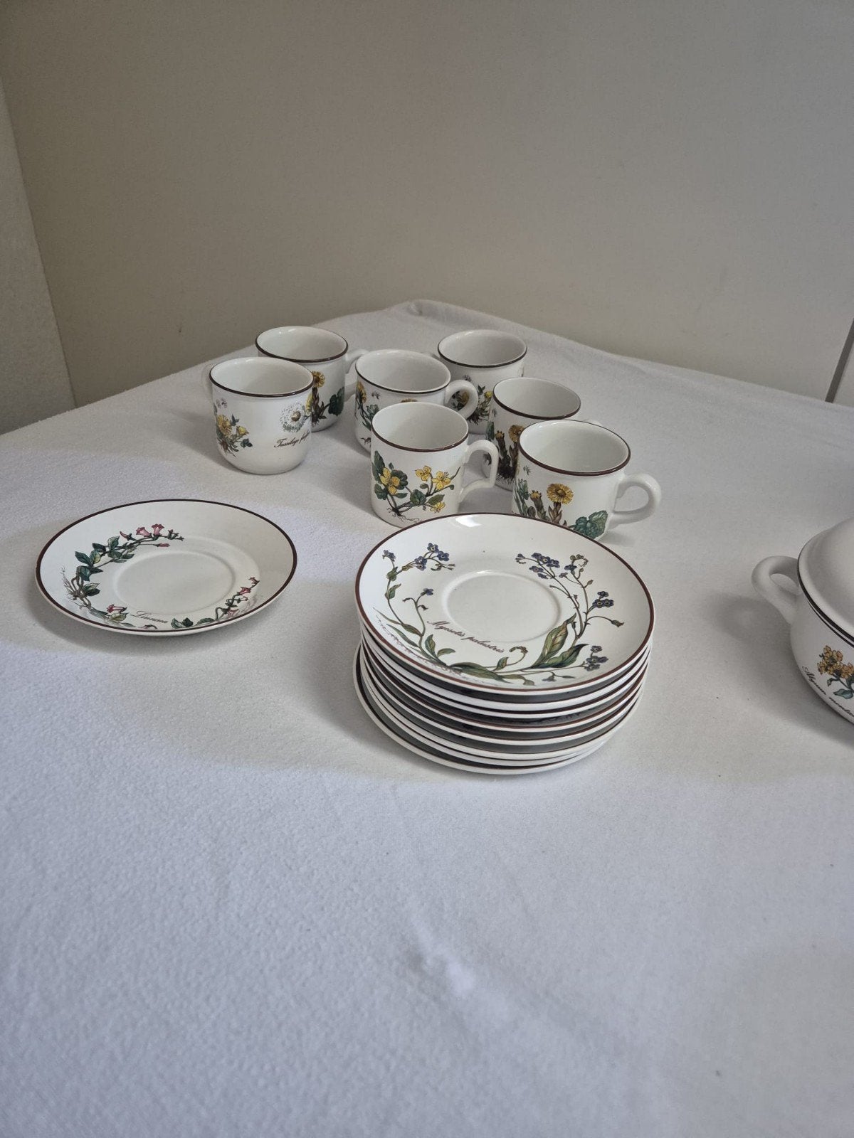Villeroy & boch botanica, Ophalen, Gebruikt, Villeroy & Boch, Vintage