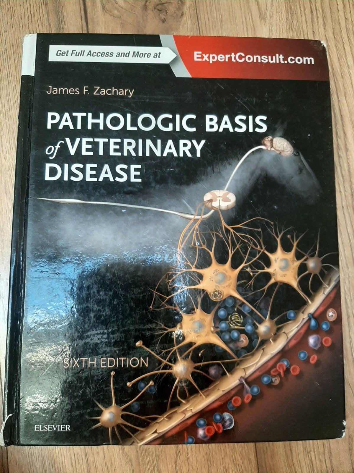 Pathologic Basis of Veterinary Disease - Zesde Editie, Ophalen of Verzenden, Beta, James F. Zachary, WO