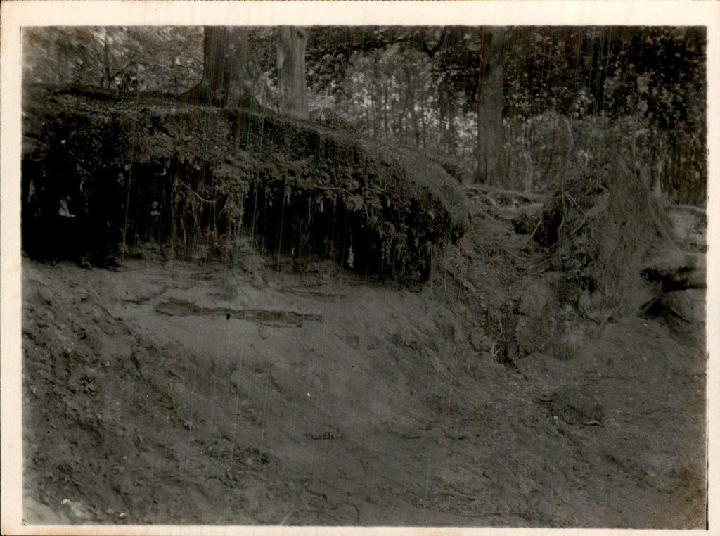 Boswal - Erosie, Ophalen of Verzenden, 1940 tot 1960, Ongelopen, Noord-Brabant