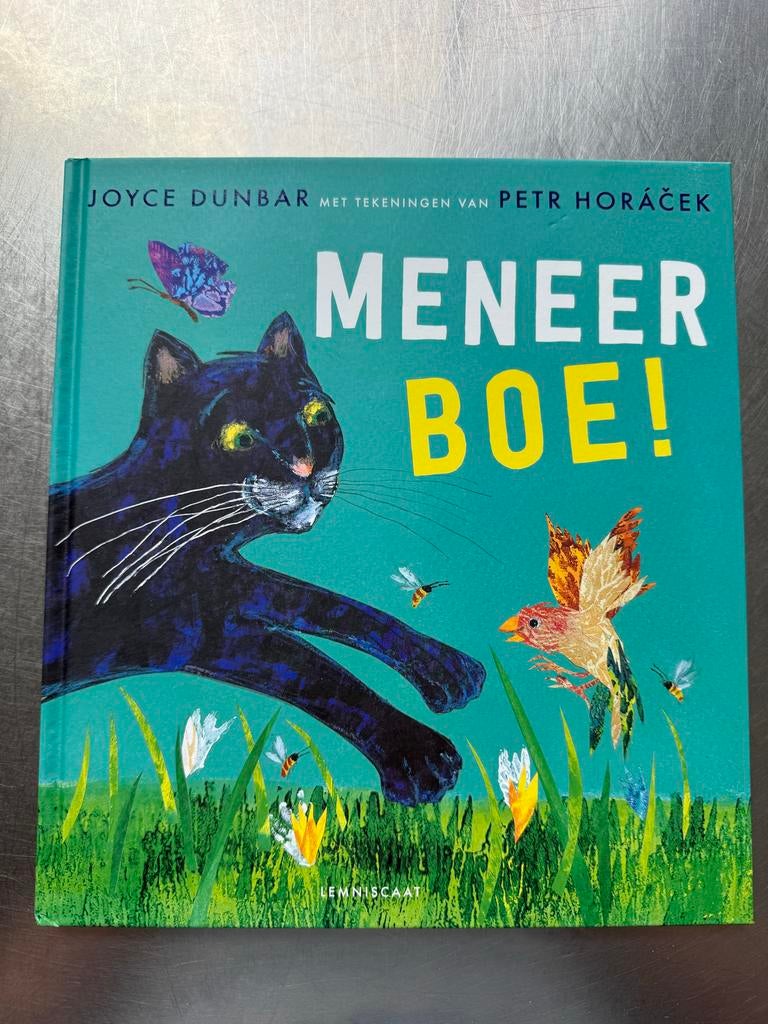 Meneer Boe!, Boeken, Kinderboeken | Kleuters, Zo goed als nieuw, Sprookjes, 4 jaar, Jongen of Meisje, Voorleesboek, Ophalen of Verzenden