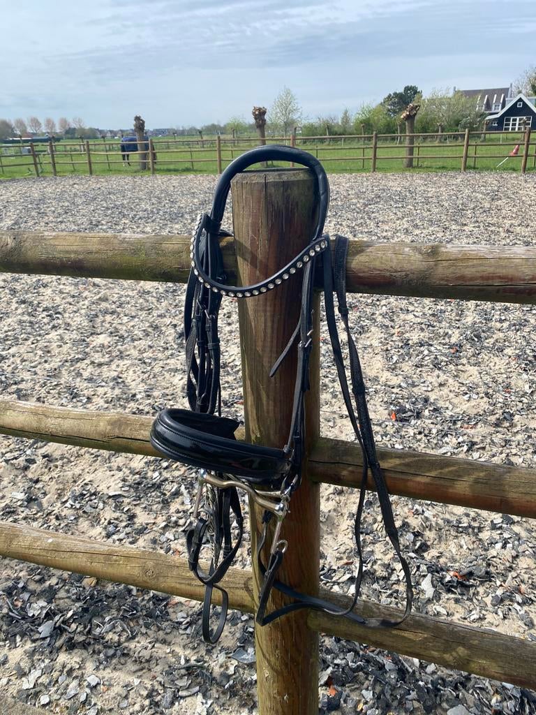 Stang en trenshoofdstel Tess, Dieren en Toebehoren, Paarden en Pony's | Hoofdstellen en Tuigage, Ophalen of Verzenden, Zo goed als nieuw