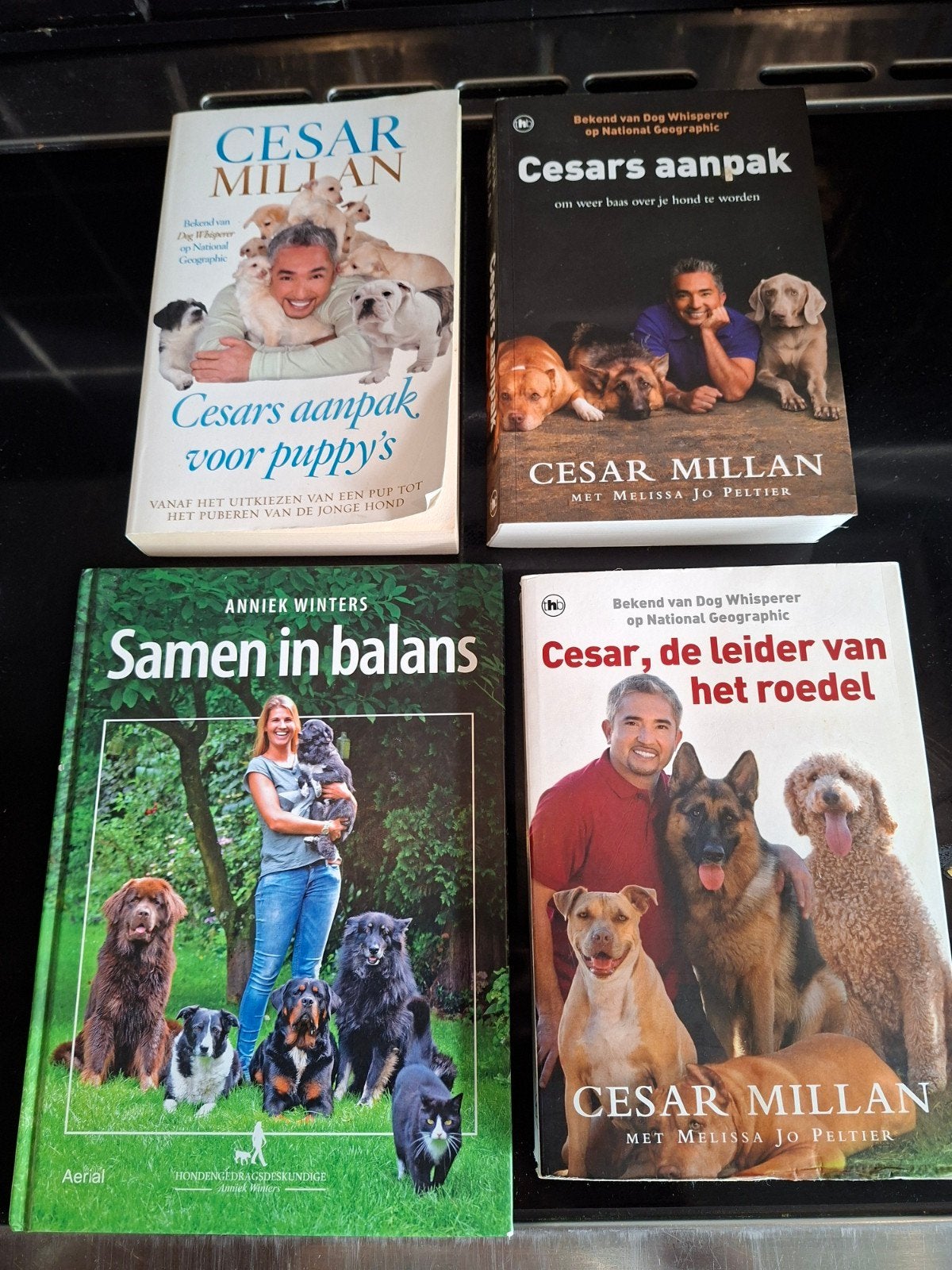Hondenboeken van Cesar Millan en Annemie Winters, Ophalen of Verzenden, Zo goed als nieuw, Honden, Cesar Millan, Annemie Winters