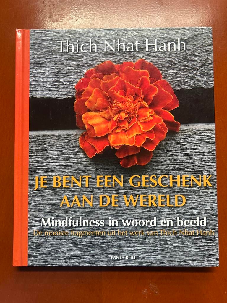 Je Bent Een Geschenk Aan De Wereld - Thich Nhat Hanh, Ophalen of Verzenden, Zo goed als nieuw