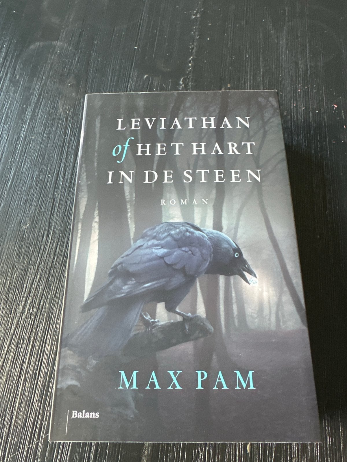 Leviathan of Het Hart in de Steen - Max Pam, Ophalen of Verzenden, Zo goed als nieuw, Nederland