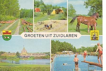 Ansichtkaart 	Zuidlaren	5-luik	Paarden, Verzamelen, Ansichtkaarten | Nederland, Verzenden, 1960 tot 1980, Gelopen, Drenthe