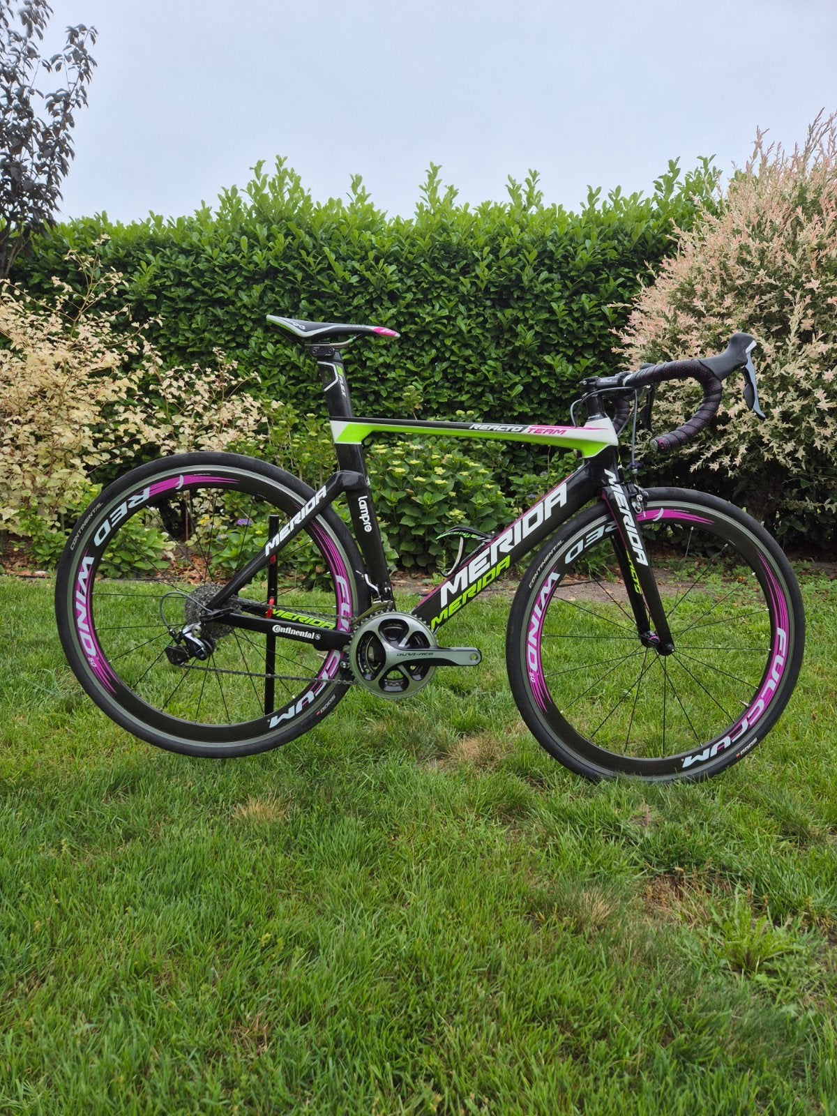 Merida Reacto Team racefiets - framehoogte 50 cm, Fietsen en Brommers, Fietsen | Racefietsen, Gebruikt, Overige merken, Meer dan 20 versnellingen