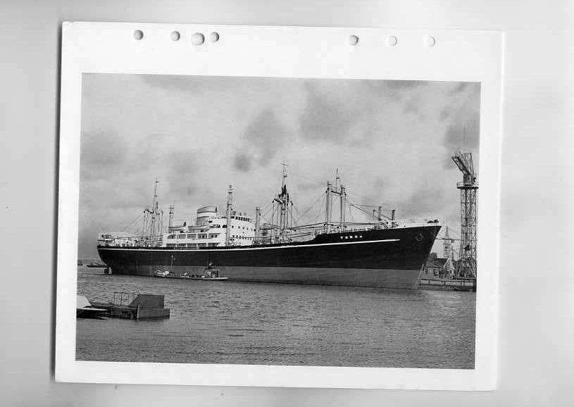 scheepvaart-foto-ALBLASSERDAM-werf de noord-div schepen-6x, Ophalen of Verzenden, Zo goed als nieuw, Motorboot, Boek of Tijdschrift