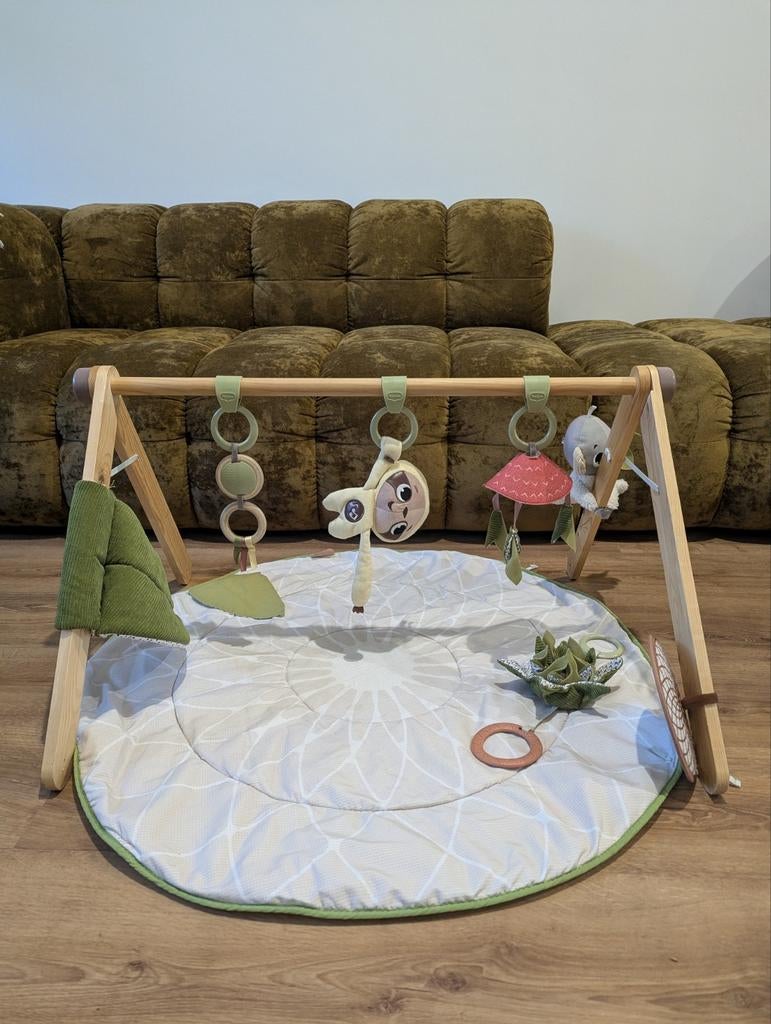 Tiny Love Speelkleed met Babygym, Ophalen of Verzenden, Gebruikt, Babygym