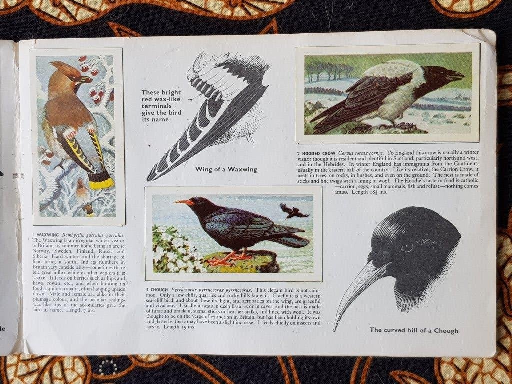 Wilde vogels oud Engels album met Brooke Bond theeplaatjes., Ophalen of Verzenden