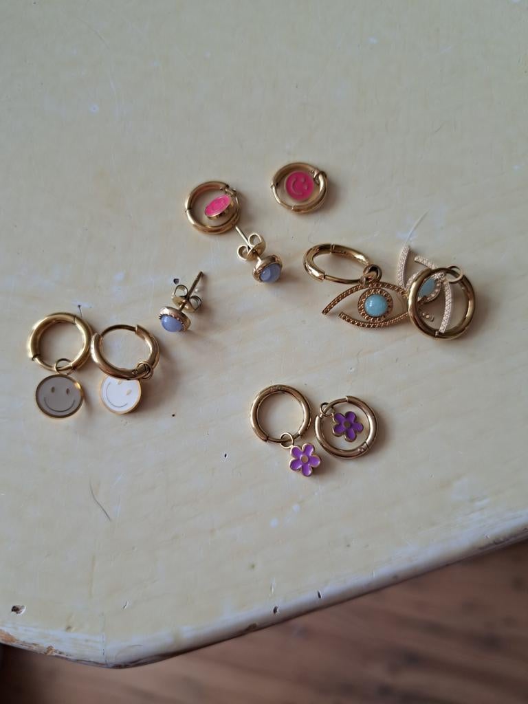 Set oorbellen stainles steel, Ophalen of Verzenden, Nieuw, Overige materialen