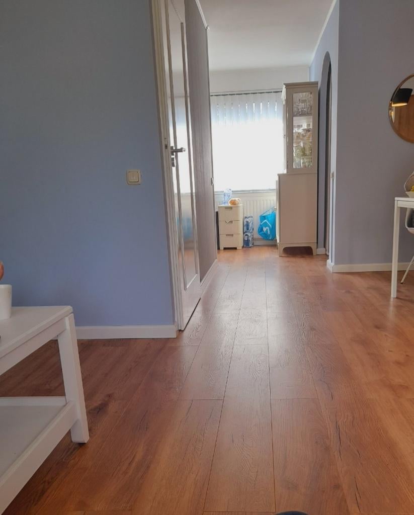 Ervaren laminaatlegger gezocht ? Vakkundig & betaalbaar .., Ophalen of Verzenden, Nieuw