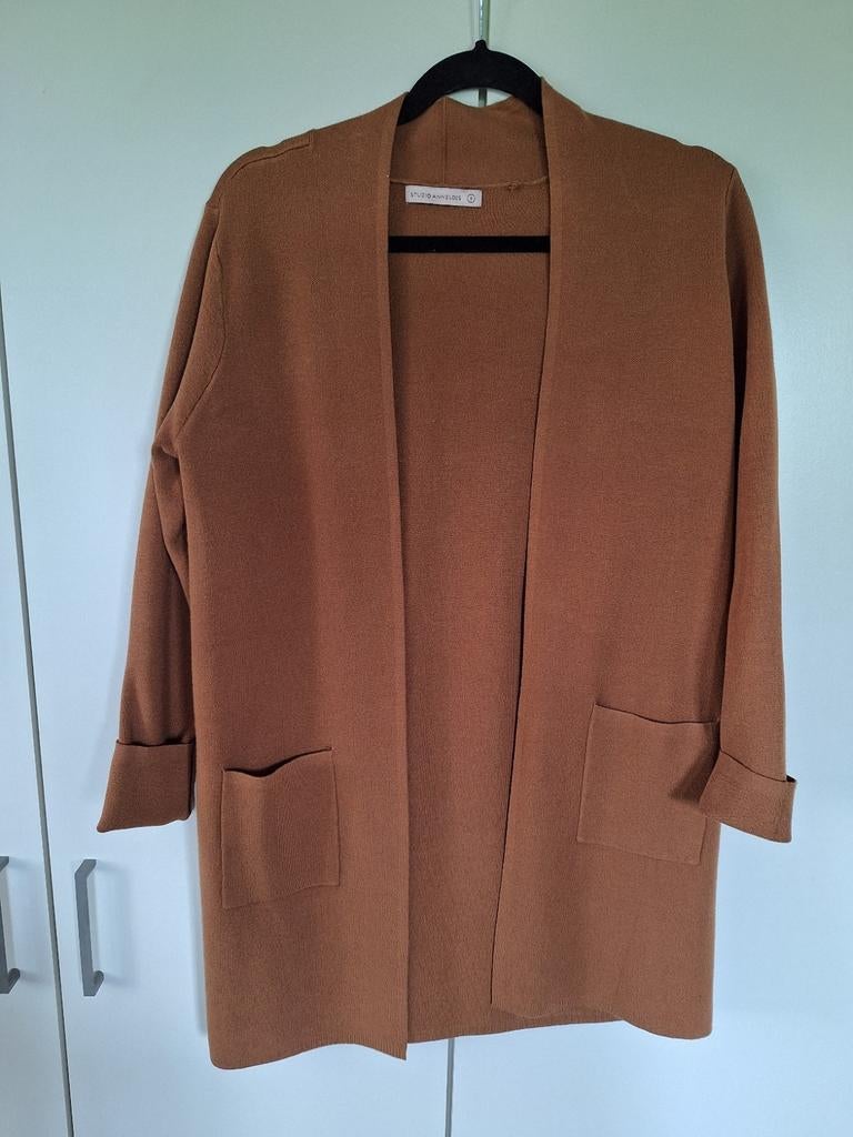 Vest studio anneloes als nieuw, Kleding | Dames, Grote Maten, Ophalen of Verzenden, Zo goed als nieuw, Beige, Trui of Vest