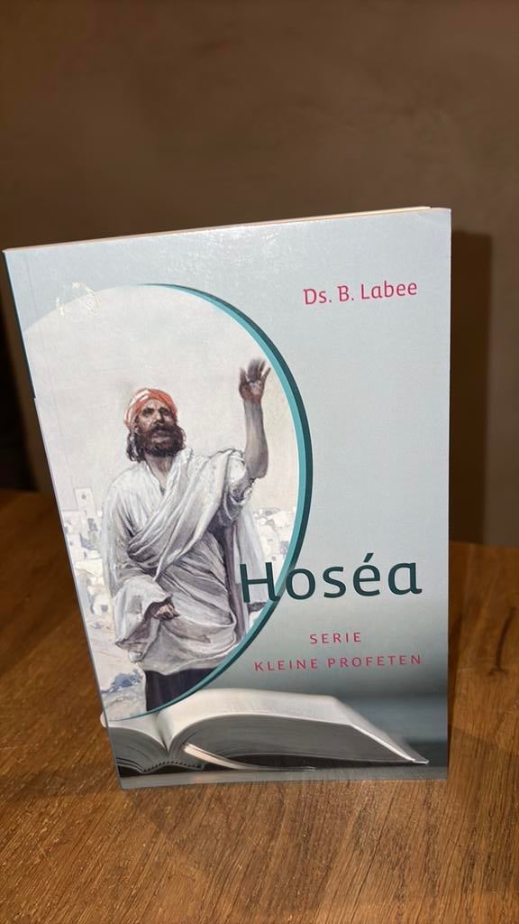 KR-1 Ds B. Labee - Hosea, Boeken, Godsdienst en Theologie, Zo goed als nieuw, Ophalen of Verzenden