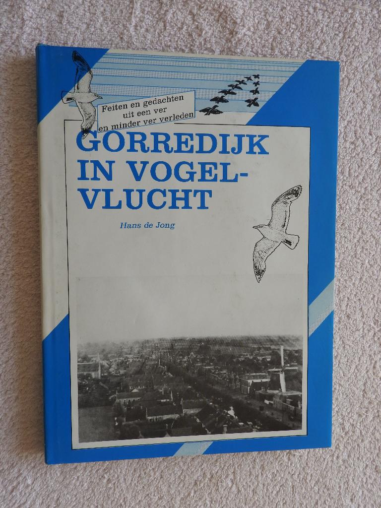 Gorredijk in vogelvlucht - Feiten en gedachten, Boeken, Geschiedenis | Stad en Regio, Ophalen of Verzenden, Zo goed als nieuw