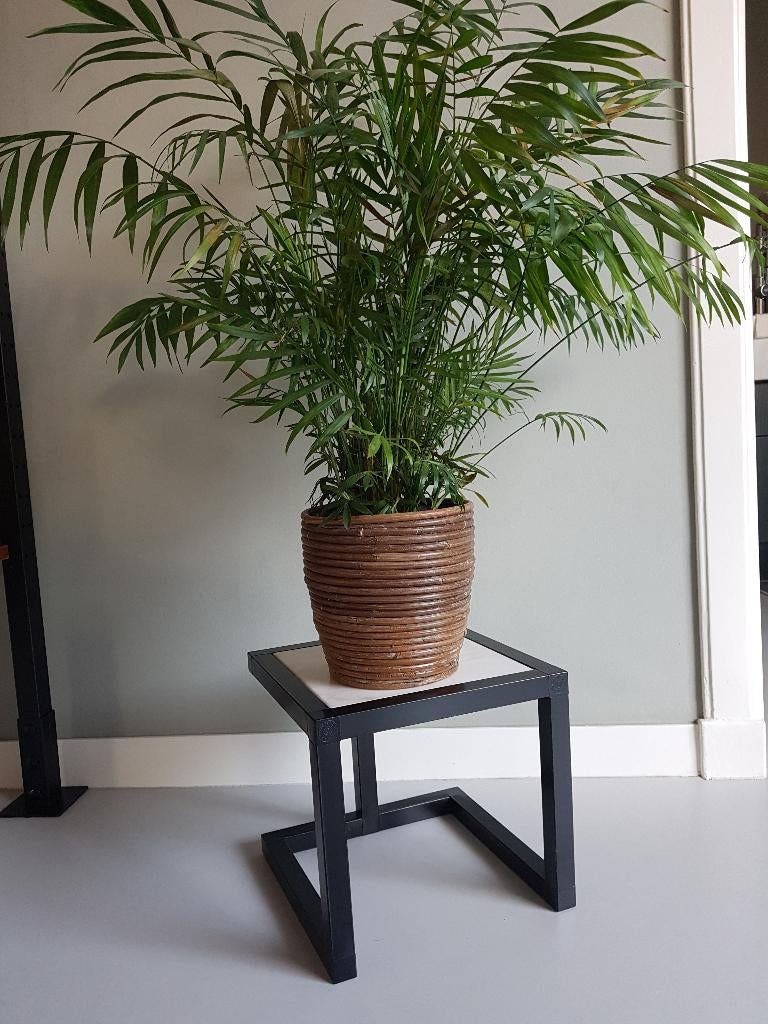 Metalen Bijzettafel, Plantentafel met Marmer blad, Huis en Inrichting, Tafels | Bijzettafels, Minder dan 45 cm, Minder dan 55 cm
