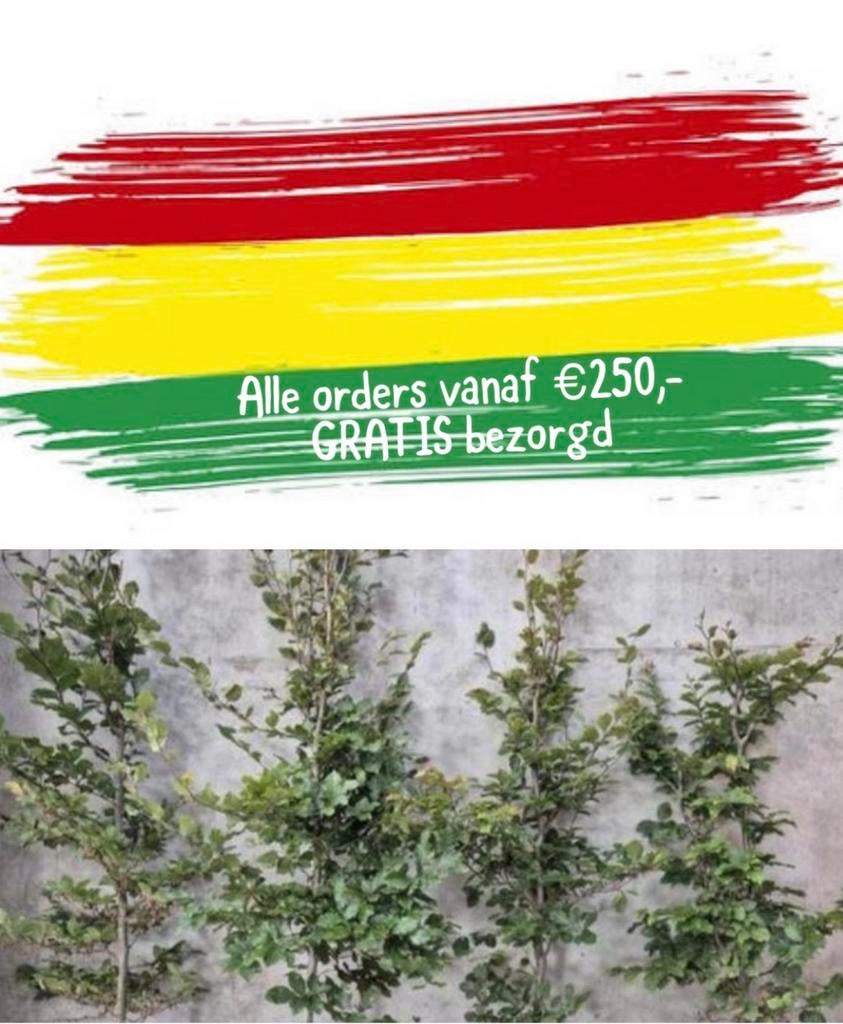 Carnavals aktie GRATIS thuis bezorgd, Ophalen of Verzenden, Overige soorten