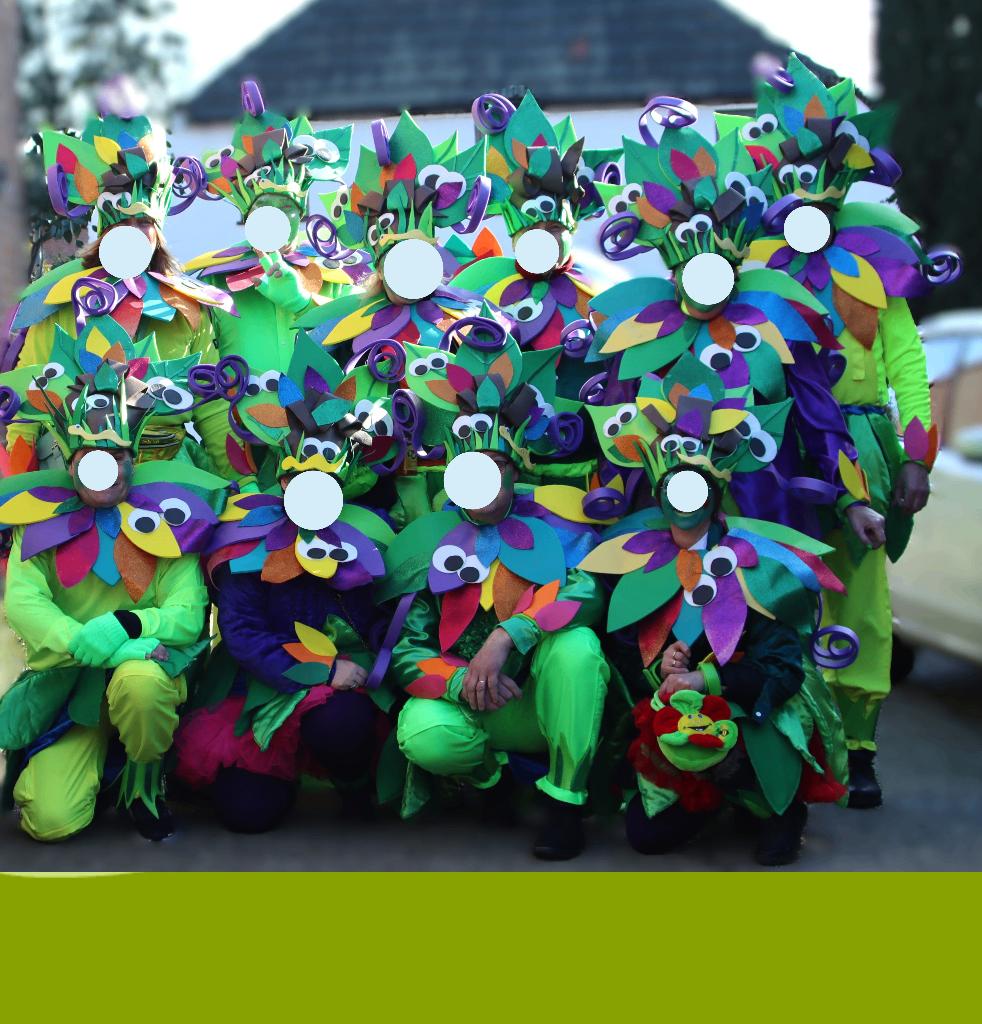 Carnavalspakken (>12 st.), Ophalen, Carnaval, Maat 48/50 (M), Selfmade