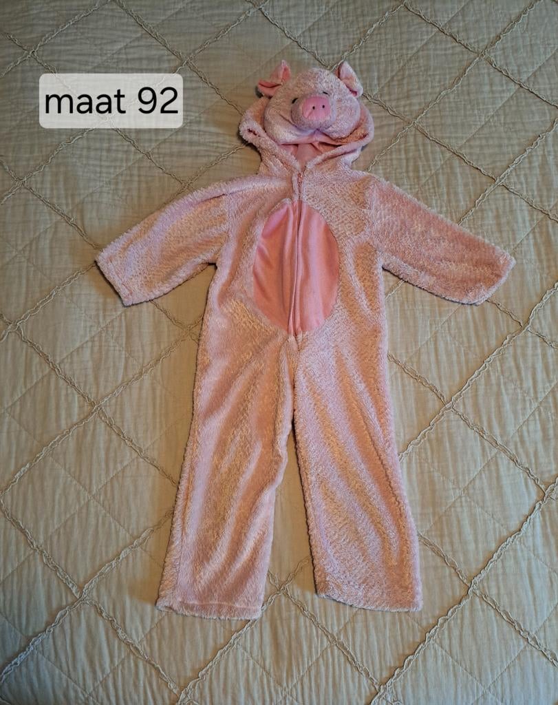 Carnavalskleding, Ophalen of Verzenden, Zo goed als nieuw, 104 of kleiner, Jongen of Meisje