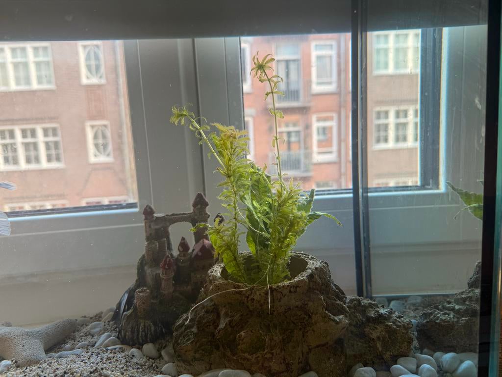 Aquarium, Ophalen, Leeg aquarium