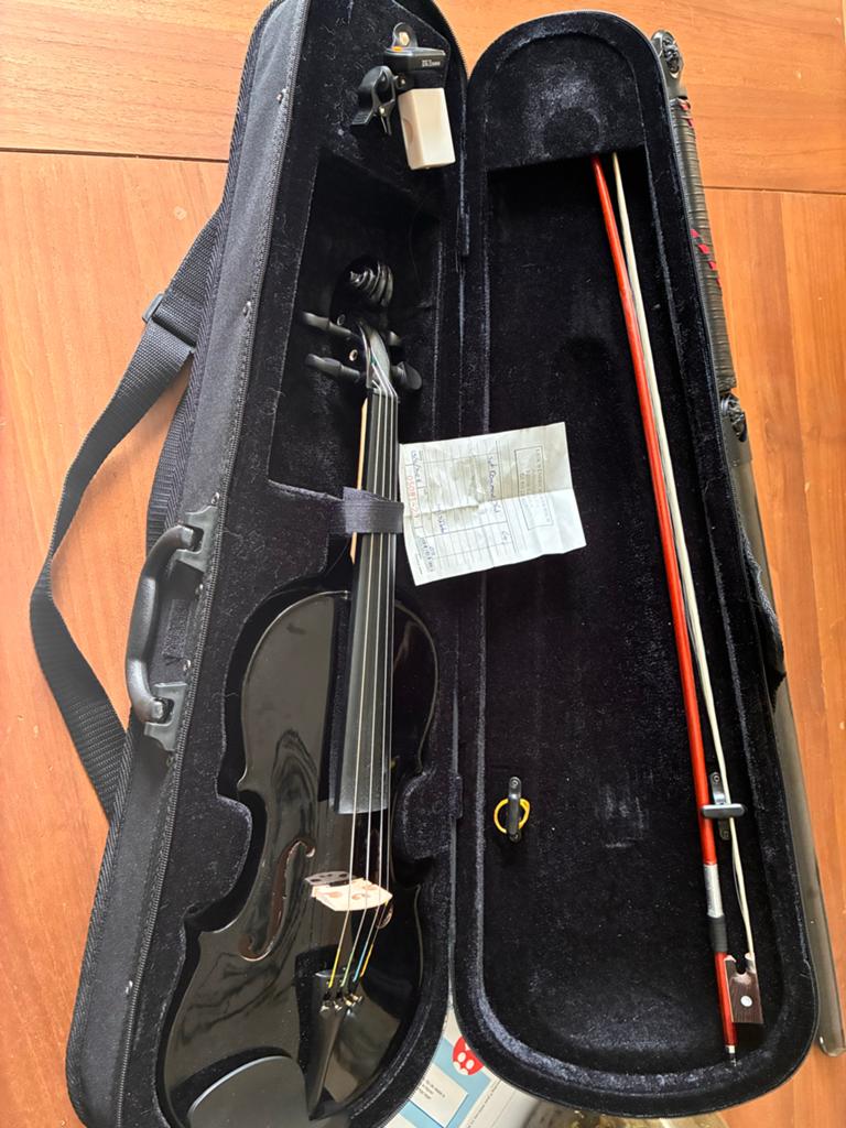 Zwarte Stagg viool 4/4 inclusief koffer en strijkstok, Muziek en Instrumenten, Ophalen, 4/4-viool