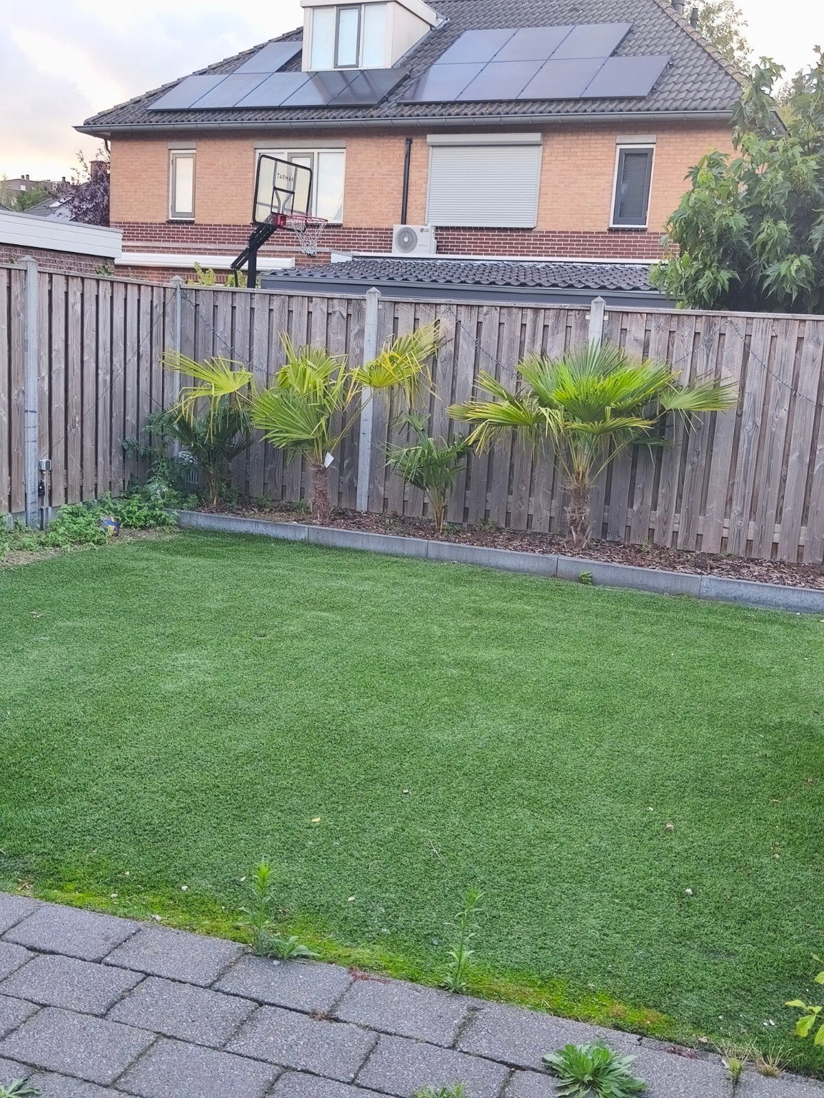 Kunstgras 4x4 meter (1 stuk), Ophalen, Gebruikt, 10 tot 20 m², Kunstgras