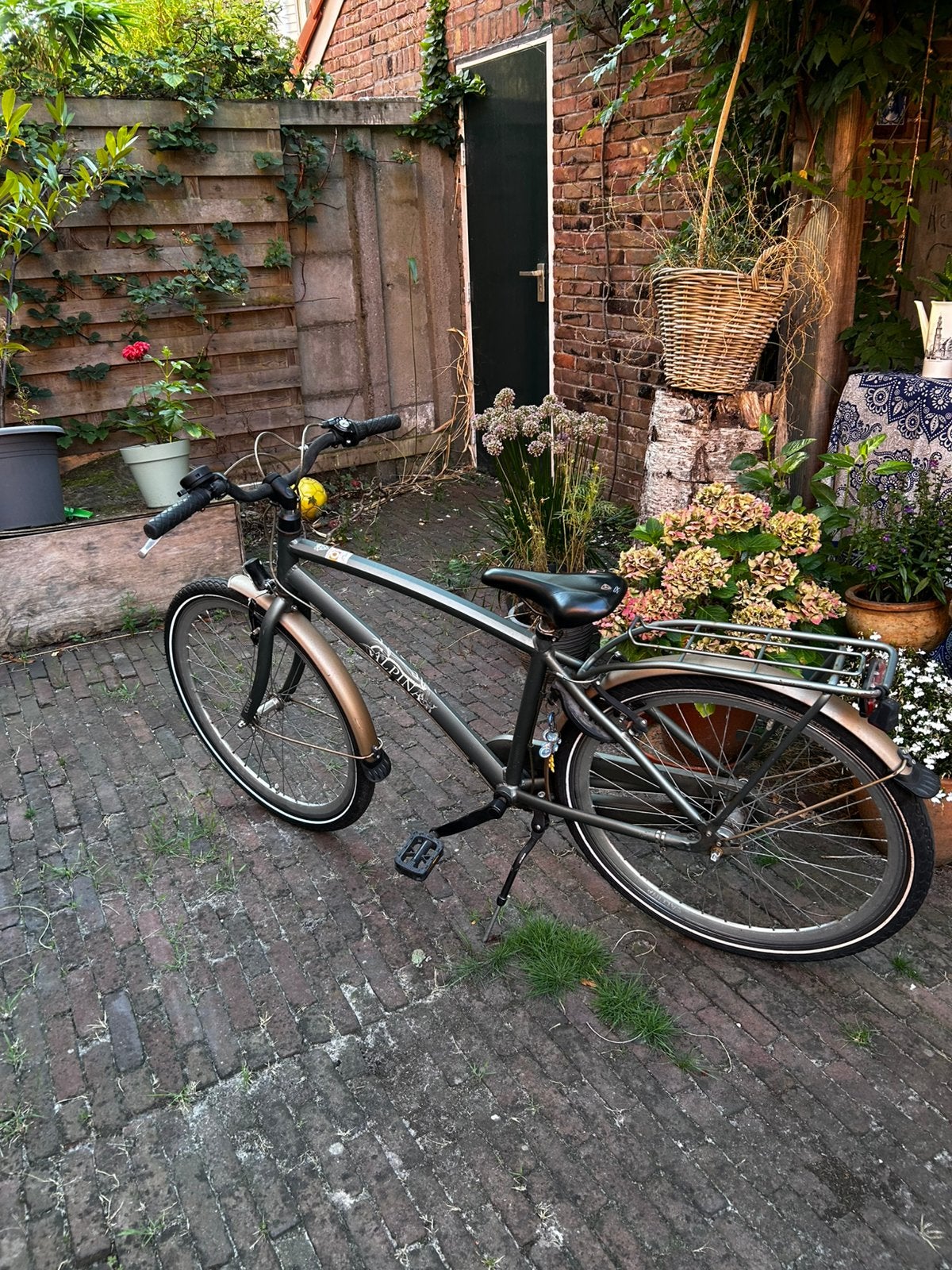 Mooie Alpina Curve kinderfiets (9-11 jaar) wielmaat 26, Ophalen, Zo goed als nieuw, 26 inch of meer
