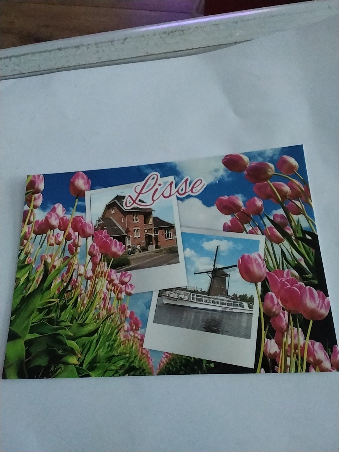 LISSE.  TULPEN, Ophalen of Verzenden