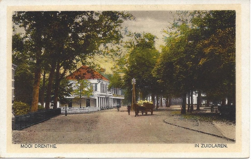 Zuidlaren, Mooi Drenthe, Volk, gelopen 1921, Ophalen of Verzenden, Voor 1920, Gelopen, Drenthe