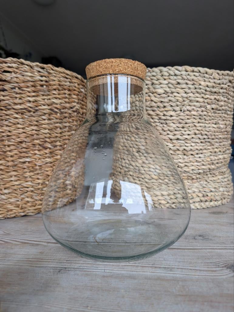 Glazen terrarium met kurken deksel, Gebruikt, Overige kleuren, Ophalen of Verzenden, Glas