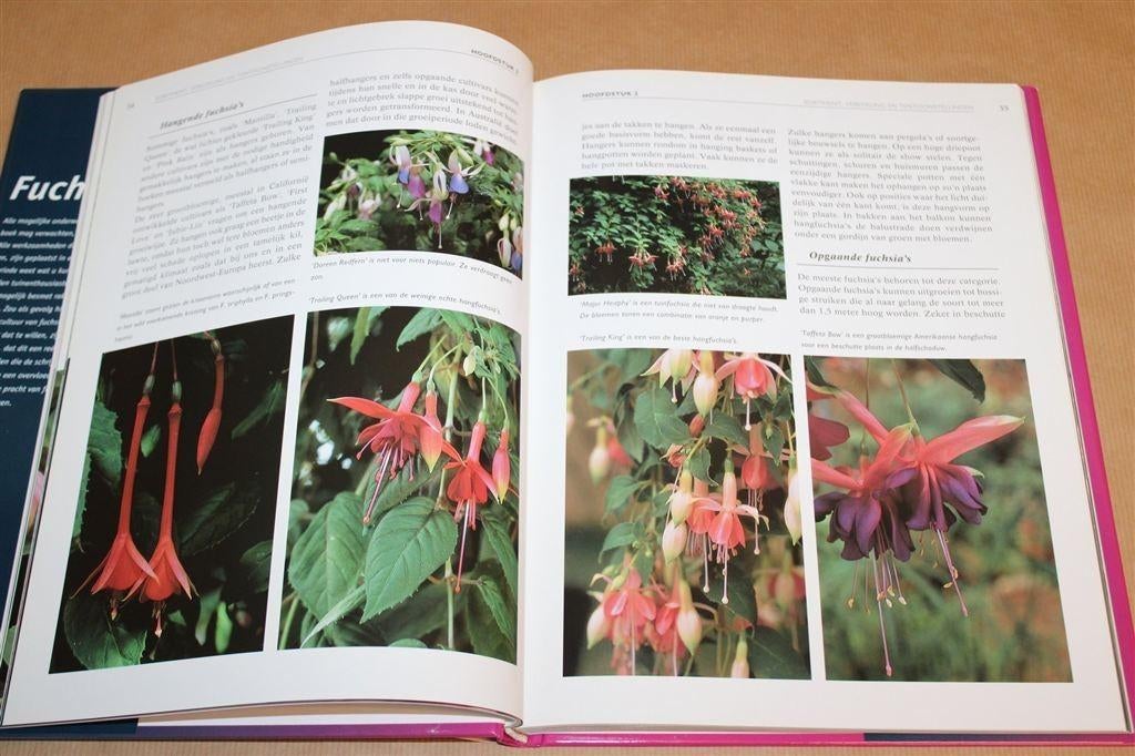 Fuchsia’s — Soorten, Bloei & Verzorging, Boeken, Ophalen of Verzenden, Zo goed als nieuw, Kamerplanten