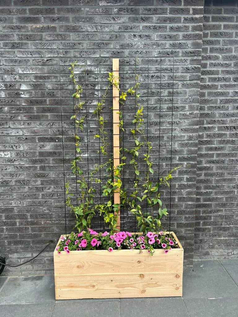 (Verrijdbare) bloembak douglas, Tuin en Terras, Ophalen, Nieuw, 60 cm of meer, Rechthoekig
