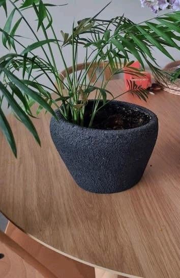 HM Home vaas met planten, Huis en Inrichting, Ophalen, Overige materialen, Gebruikt, Wit