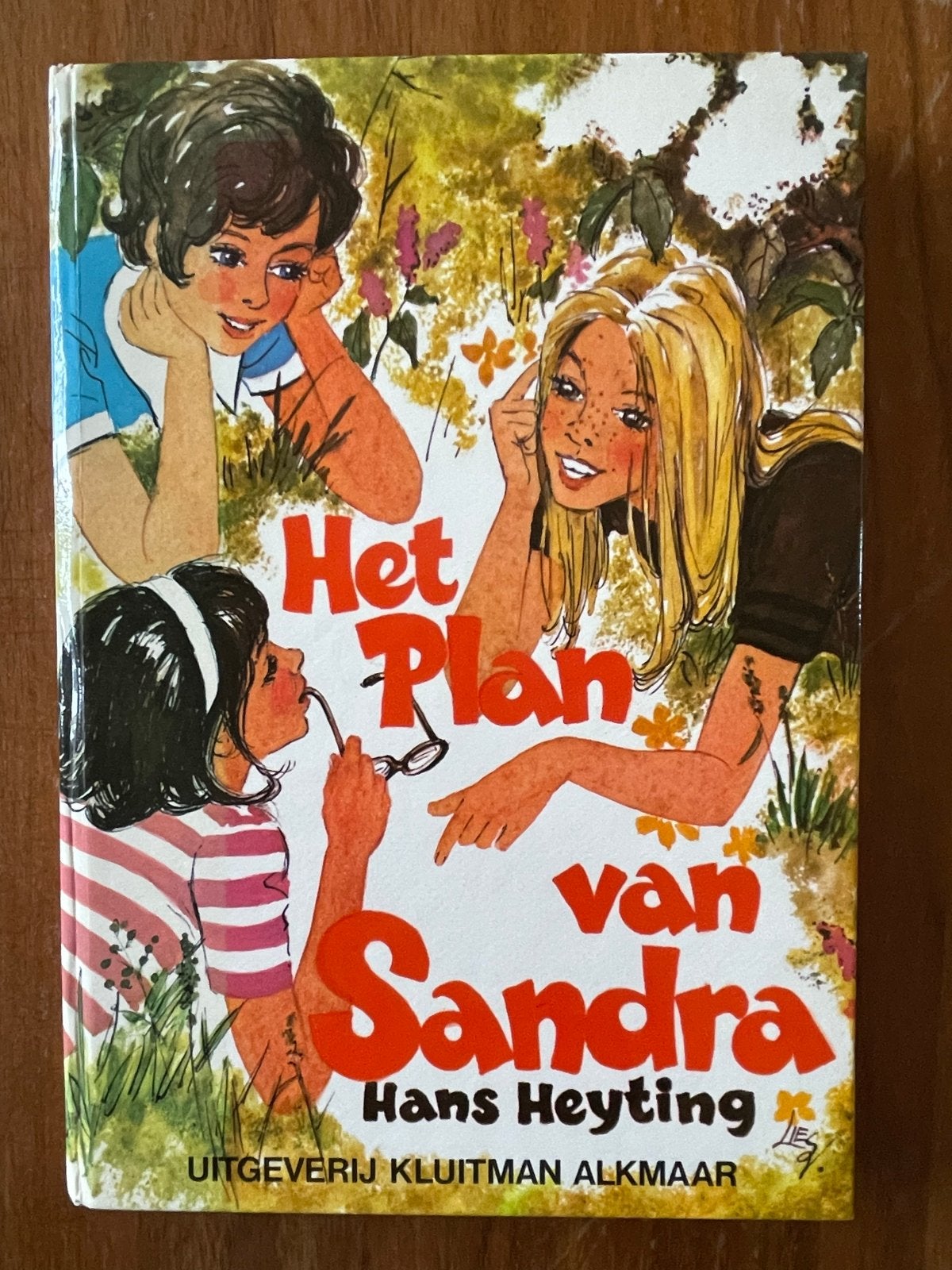 Het Plan van Sandra - Hans Heyting (Zonnebloem-serie), Ophalen of Verzenden, Gelezen, Fictie