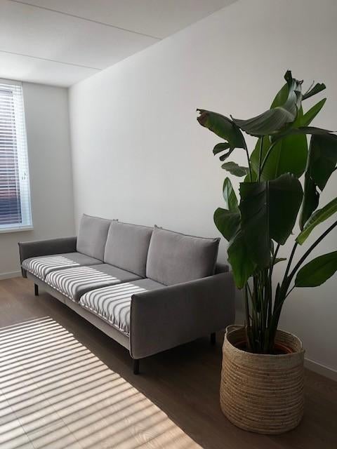 SUPER MOOI LOODS 5 BANKSTEL, Ophalen of Verzenden, Zo goed als nieuw, Vierpersoons of meer, Rechte bank