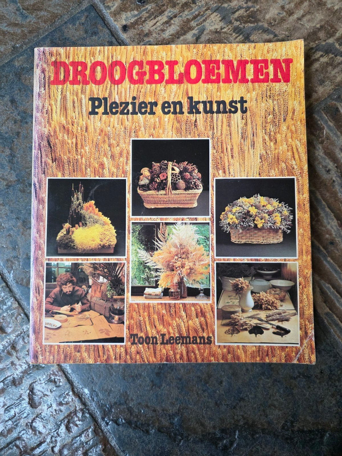 Droogbloemen: Plezier en kunst - Toon Leemans, Ophalen of Verzenden, Gelezen, Overige onderwerpen, Toon Leemans