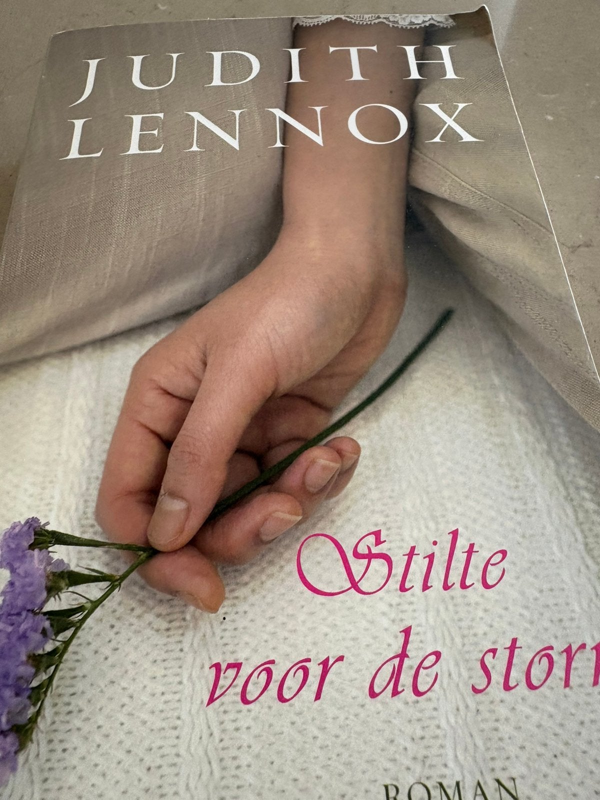 Stilte voor de storm Judith Lennox, Ophalen of Verzenden, Zo goed als nieuw