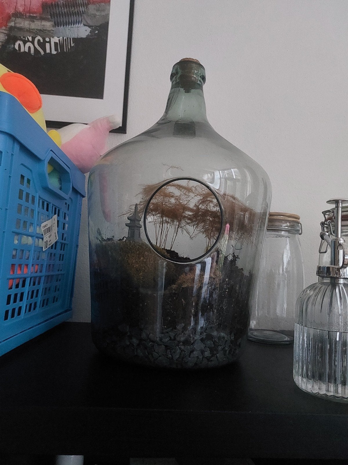 Grote glazen terrarium pot met opening, Ophalen, Gebruikt, Glas