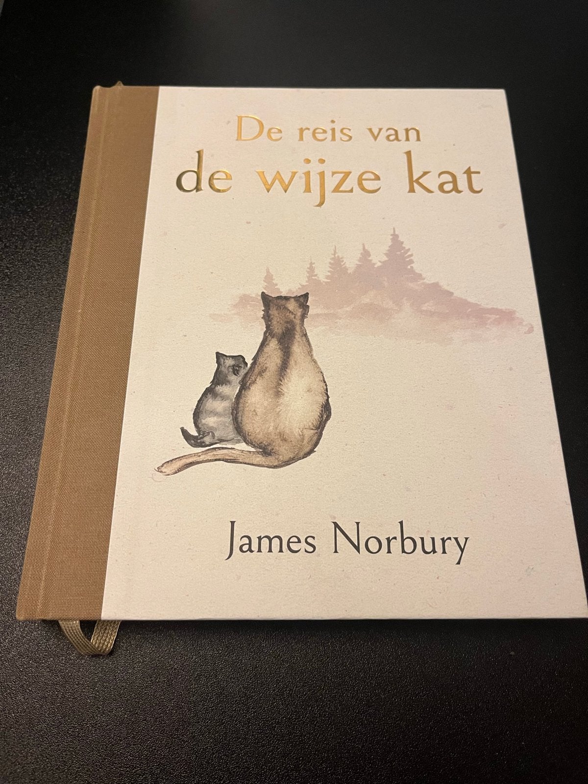 De reis van de wijze kat - James Norbury (nieuw), Boeken, Ophalen, Nieuw