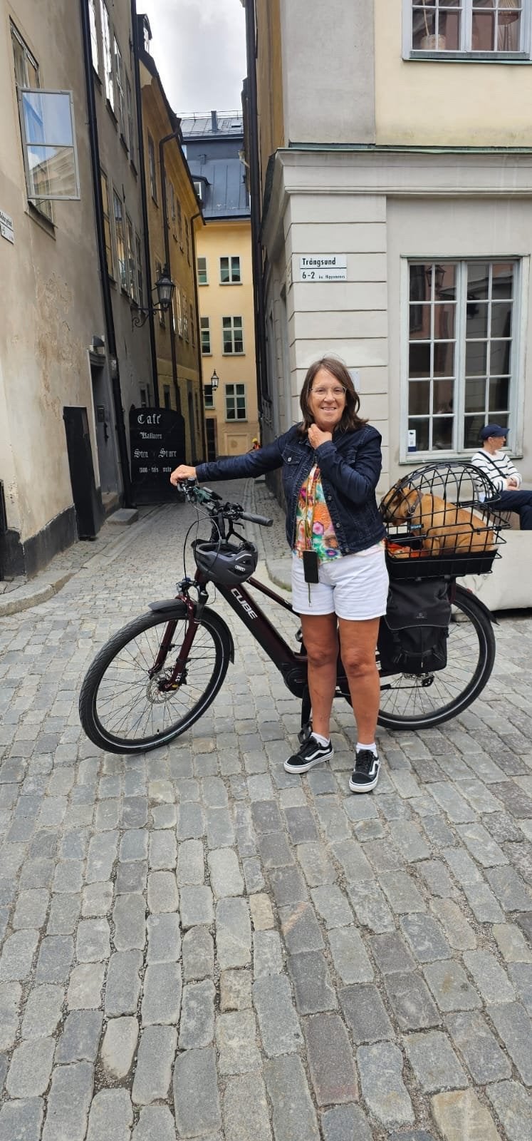 Honden fietsmand/bak voor achterop de fiets - Around, Dieren en Toebehoren, Ophalen, Gebruikt