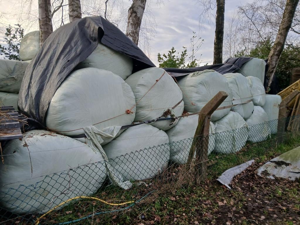 Voordroog gewikkeld, Dieren en Toebehoren, Dierenvoeding, Ophalen, Vee