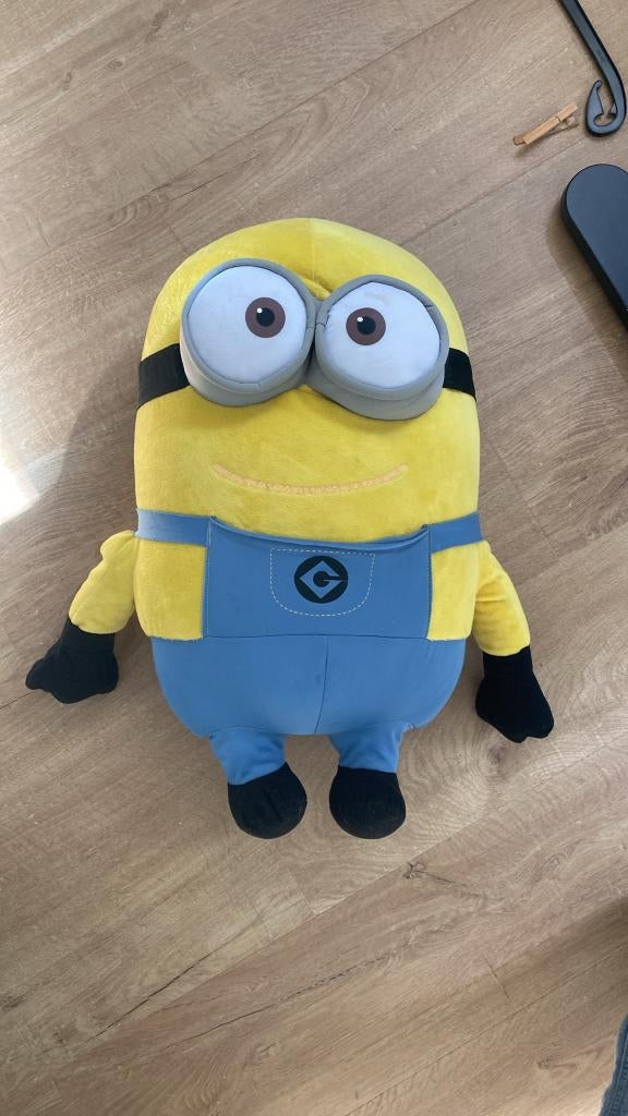 knuffel, Ophalen, Overige typen, Zo goed als nieuw, Middelgroot (20 tot 80 cm)