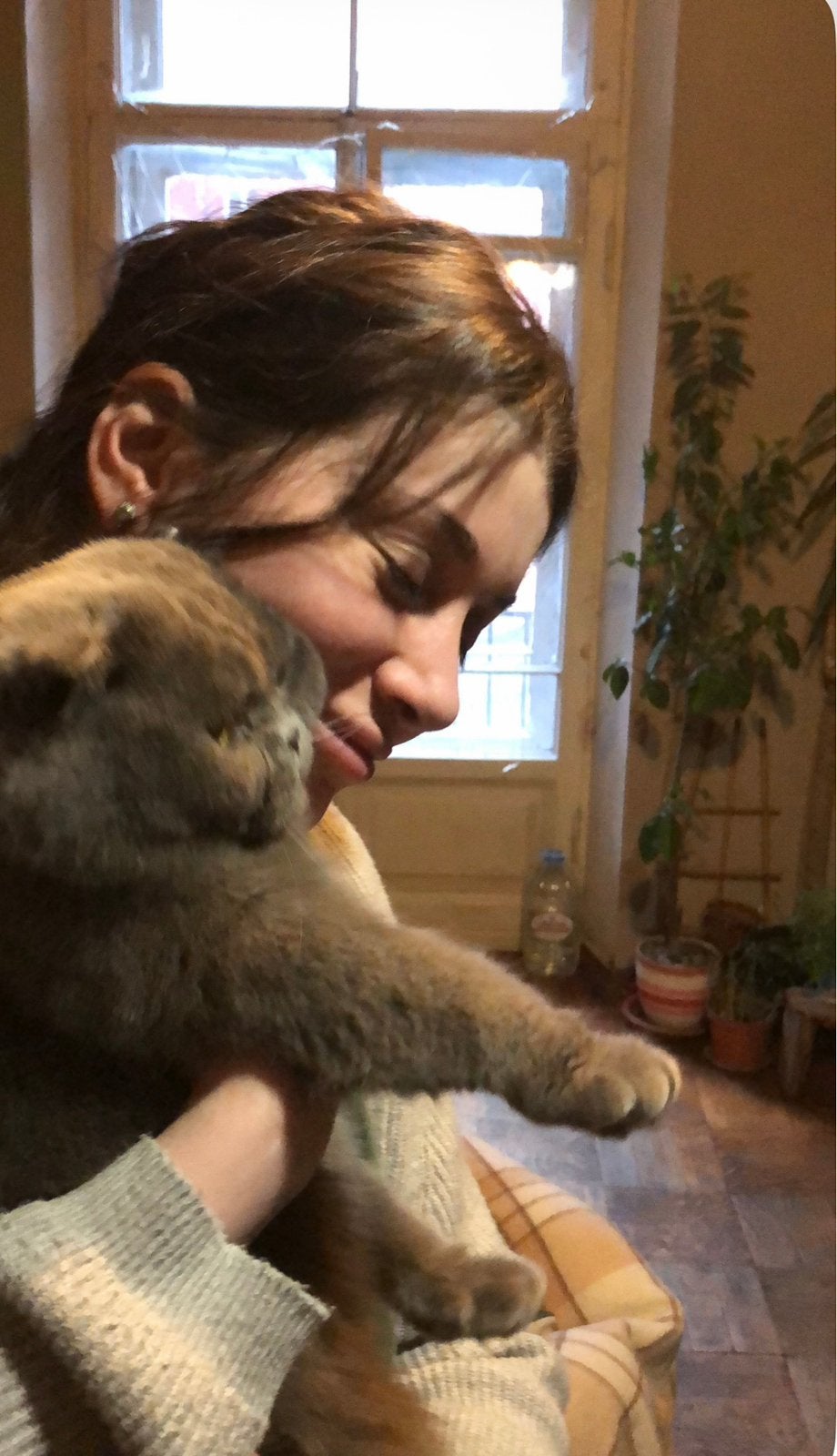 Liefdevolle kattenopvang (met tuin) in Amsterdam West, Kater