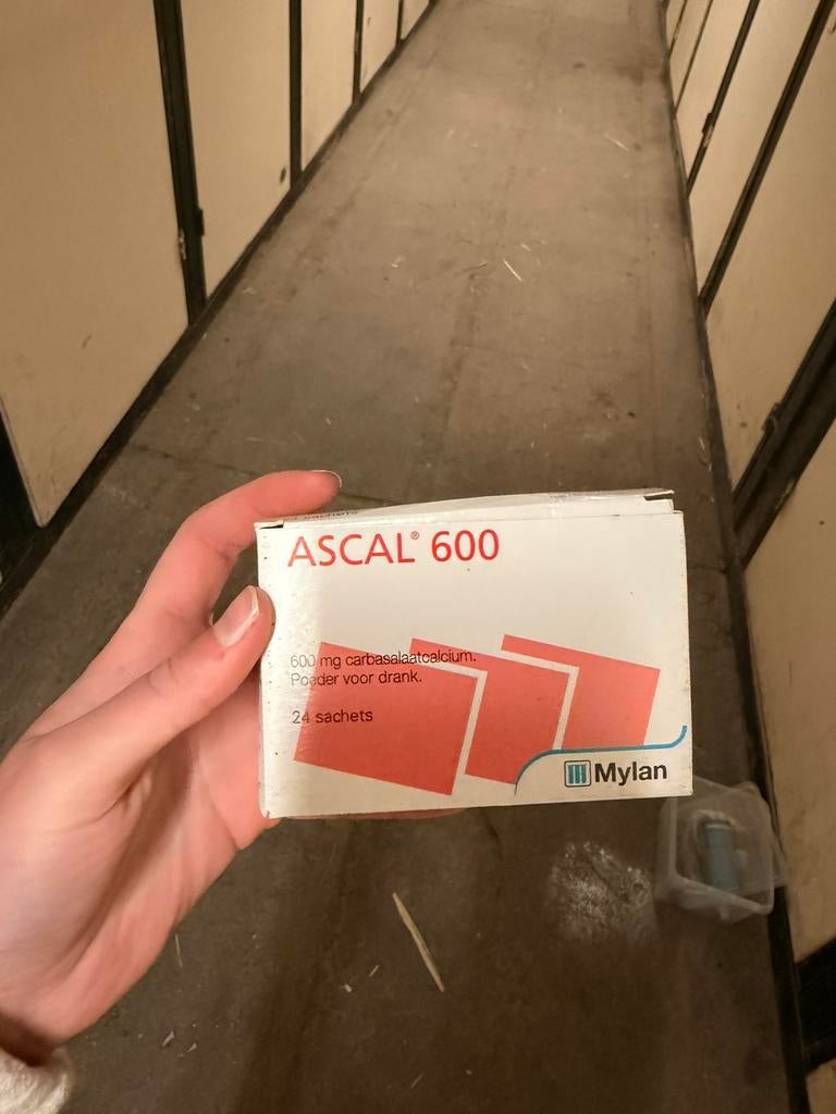 Ascal paard, Dieren en Toebehoren, Paarden en Pony's | Verzorgingsproducten, Ophalen of Verzenden, Zo goed als nieuw
