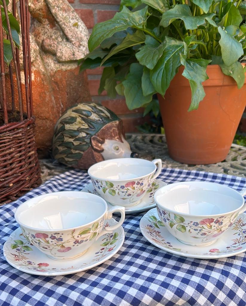 Pontesa 3 kop en schotels made in Spain, Ophalen of Verzenden