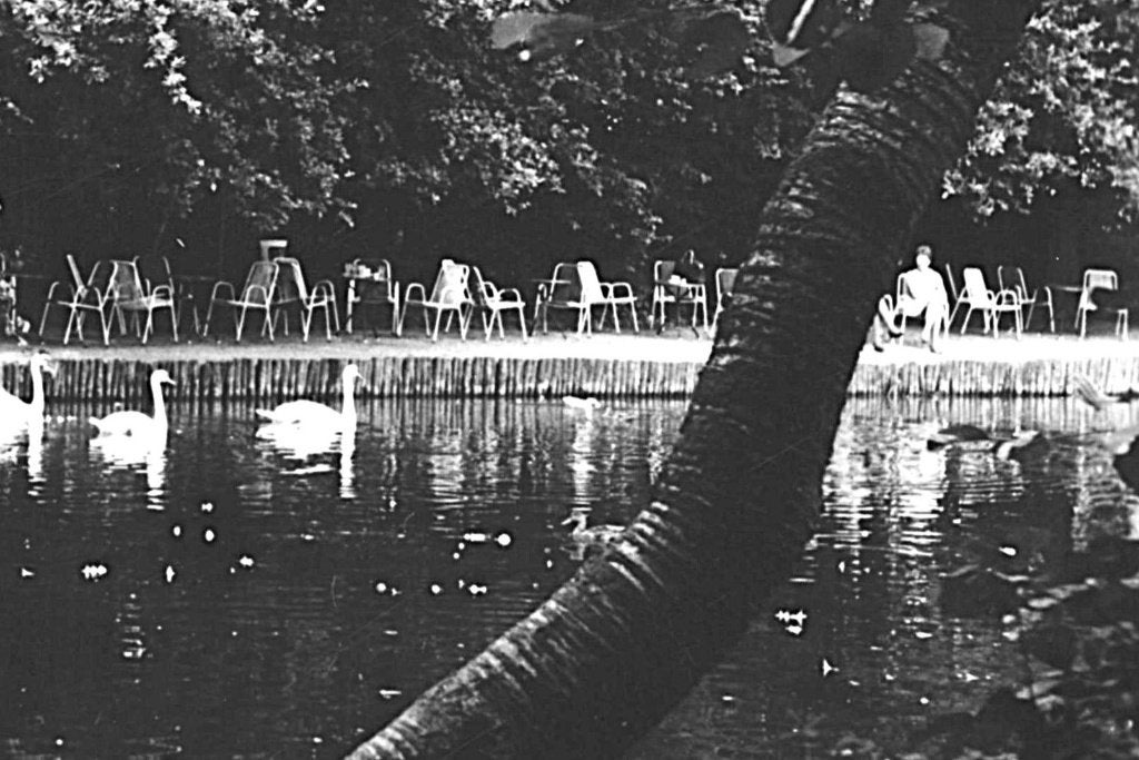 949056	Beek	Gld 1971 Gem Berg Bergmeertje t Peeske, Ophalen of Verzenden, 1960 tot 1980, Ongelopen, Gelderland