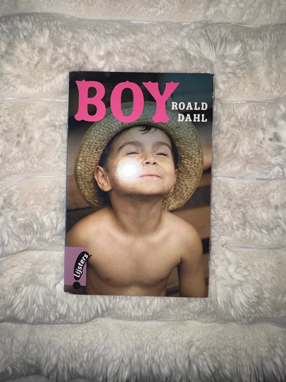 Boy - Roald Dahl (Lijsters), Ophalen of Verzenden, Gelezen, Non-fictie