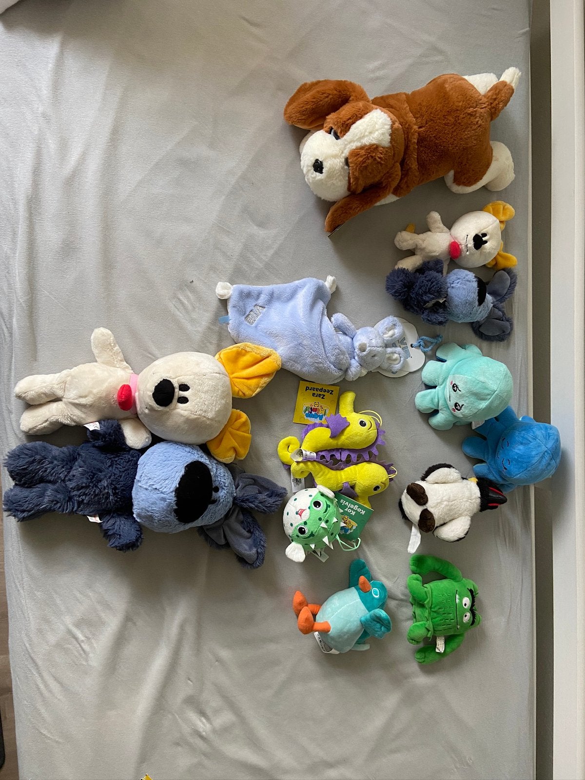 Nieuwe knuffels, Ophalen, Nieuw, Overige typen