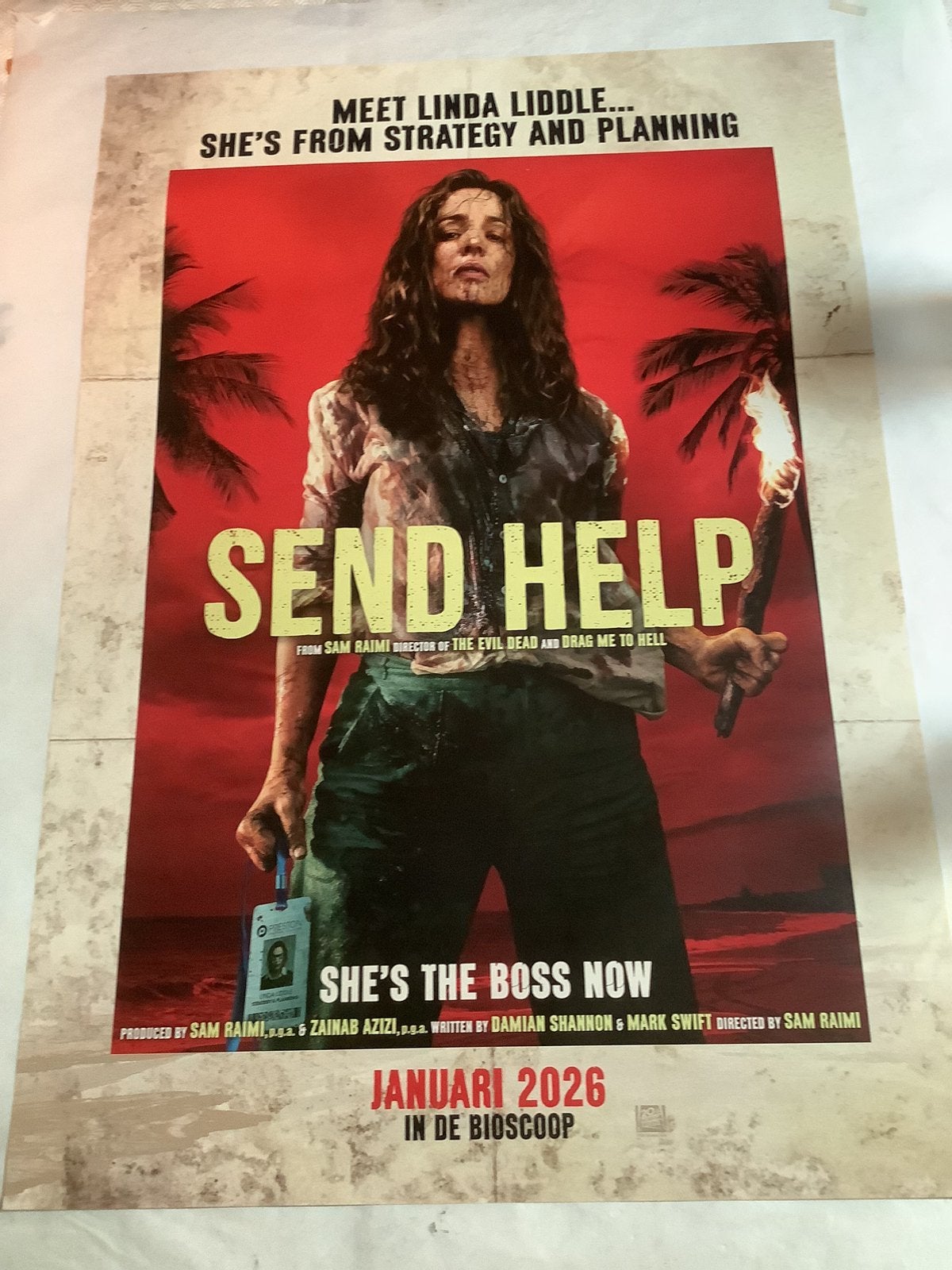 SEND HELP   FILMPOSTER   70-100 cm, Verzamelen, Verzenden, Zo goed als nieuw, Deurposter of groter, Film en Tv