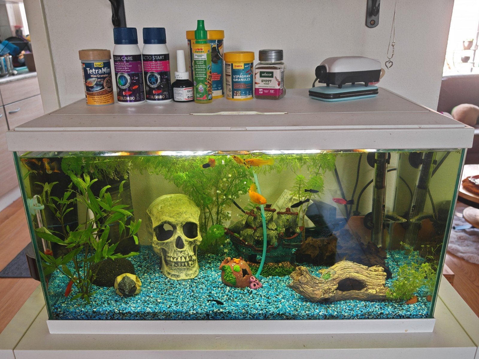 leuk aquarium 60 liter! en  veel  extra's!, Ophalen, Inclusief deksel, Gebruikt, Gevuld zoetwateraquarium