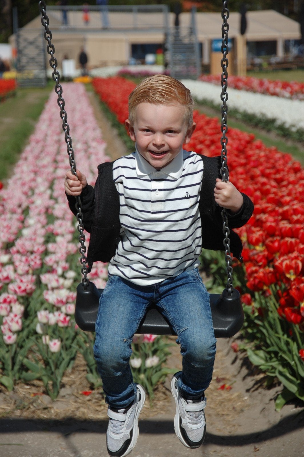 Fotoshoot, Ophalen of Verzenden